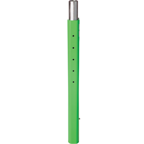 Rallonge de m&acirc;t de potence inf&eacute;rieur de 114,3 cm pour espace clos DBI-SALA PB Rental Co. Ltd.
