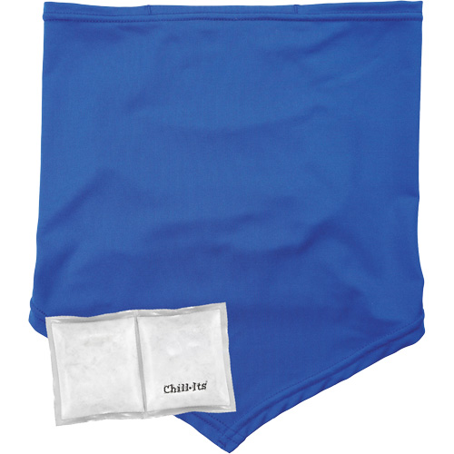 Cache-cou/bandana de refroidissement Chill-Its 6482 avec sachet r&eacute;frig&eacute;rant &agrave; changement de phase r&eacute;utilisable, petit/moyen, Bleu PB Rental Co. Ltd.