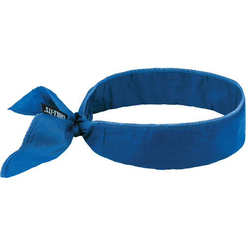 Chill-Its 6702 Cooling Headband with Embedded Polymers & Tie Closure, Blue PB Rental Co. Ltd.