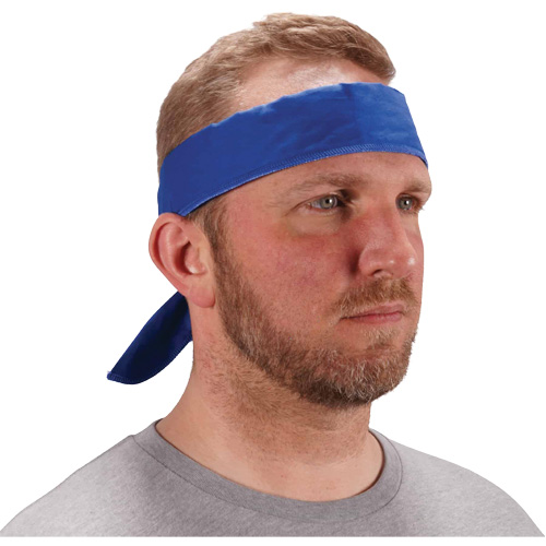 Chill-Its 6702 Cooling Headband with Embedded Polymers & Tie Closure, Blue PB Rental Co. Ltd.