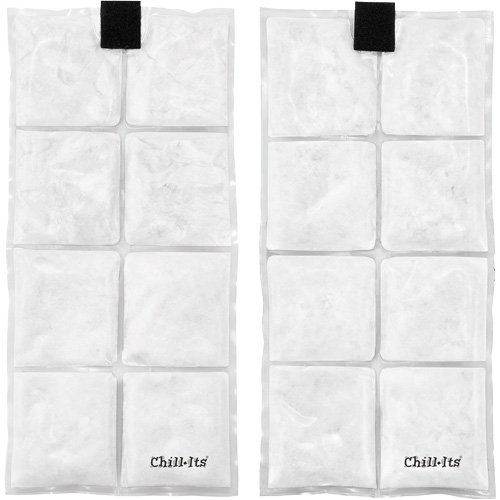 Veste de refroidissement &agrave; changement de phase l&eacute;g&egrave;re avec sachets de recharge Chill-Its 6260, Grand/T-Grand, Orange PB Rental Co. Ltd.