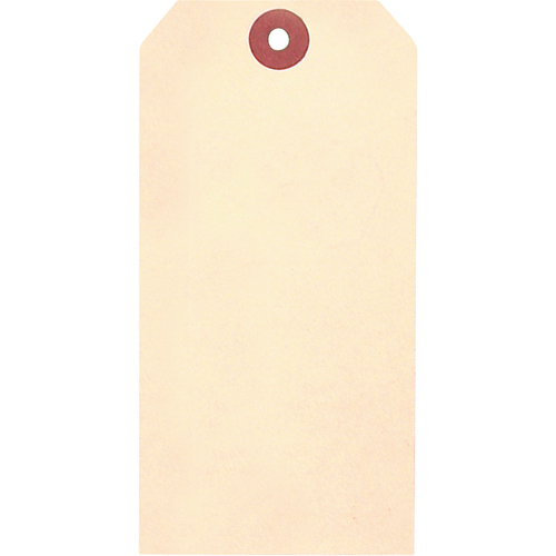 &eacute;tiquettes vierges en papier cartonn&eacute; de manille, Papier cartonn&eacute;, 2-3/8" la x 4-3/4" h PB Rental Co. Ltd.