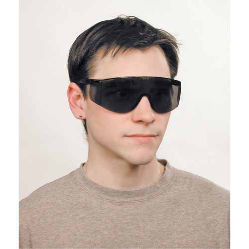 Lunettes de s&eacute;curit&eacute; Tacoma, Lentille Grise/fum&eacute;e, Anti-&eacute;gratignures, ANSI Z87+ PB Rental Co. Ltd.