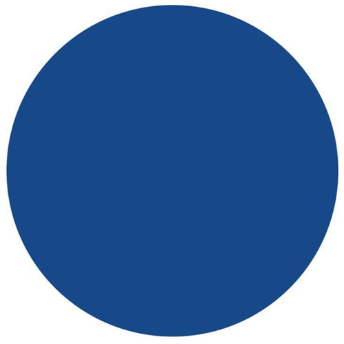 &eacute;tiquettes rondes inscriptibles, Cercle, 1,5" lo x 1,5" la, Bleu PB Rental Co. Ltd.