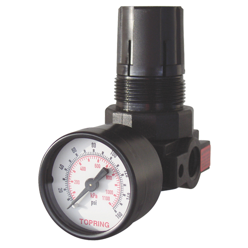 Mini Regulators, 1/4" NPT, 165 PSI Max. PSI, Modular PB Rental Co. Ltd.
