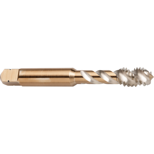 45° Spiral Flute Tap, High Speed Cobalt, 1/4"-20 Thread, 2-1/2" L PB Rental Co. Ltd.