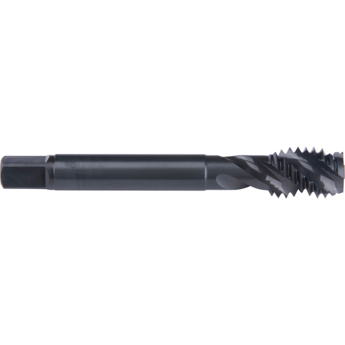 Taraud &agrave; cannelure en spirale 45°, Acier rapide au cobalt, Filet de 3/4"-10, 4-1/4" l PB Rental Co. Ltd.
