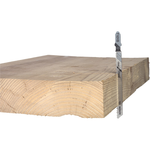 Wood Cutting Jigsaw Blade, High-Carbon Steel, T-Shank, 4" L, 10 TPI PB Rental Co. Ltd.