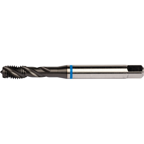 Blue Shark Spiral Flute Tap, High Speed Cobalt, 1/4"-28 Thread, 3.15" L PB Rental Co. Ltd.