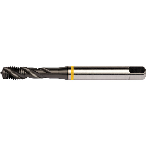 Taraud &agrave; goujures h&eacute;licoidales Yellow Shark, Acier rapide au cobalt, Filet de 1/4"-20, 3,15" l PB Rental Co. Ltd.