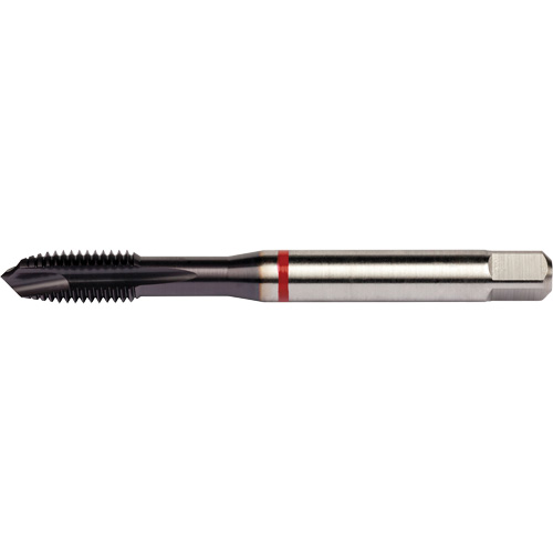 Red Shark Spiral Point Tap, High Speed Cobalt, 3/8"-16 Thread, 3.543" L PB Rental Co. Ltd.