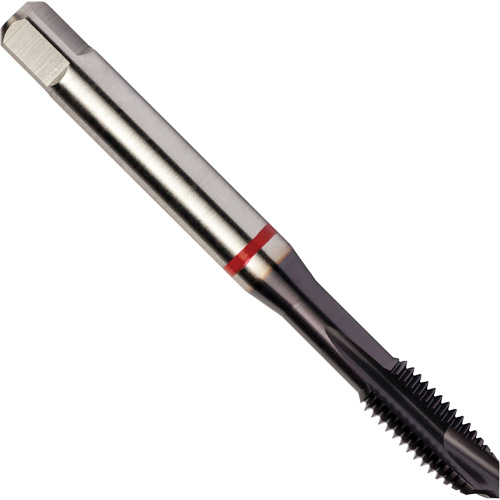 Red Shark Spiral Point Tap, High Speed Cobalt, 3/8"-16 Thread, 3.543" L PB Rental Co. Ltd.