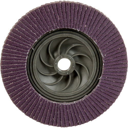 769F Quick Change Flap Disc, 5" x 5/8"-11, Type 29, 80+ Grit, Ceramic PB Rental Co. Ltd.