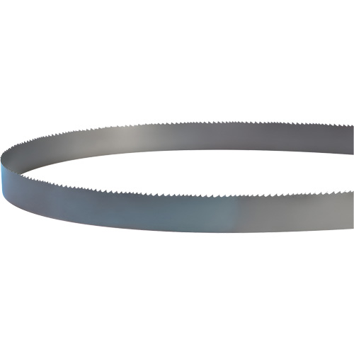Welded Bandsaw Blade, Bi-Metal, 14' L x 1" W x 4 - 6 TPI PB Rental Co. Ltd.