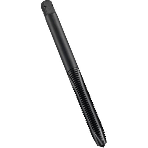 Spiral Point Tap, High Speed Cobalt, M10x1 Thread, 2-15/16" L PB Rental Co. Ltd.