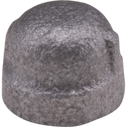 Cap, 1/8", Malleable Iron PB Rental Co. Ltd.
