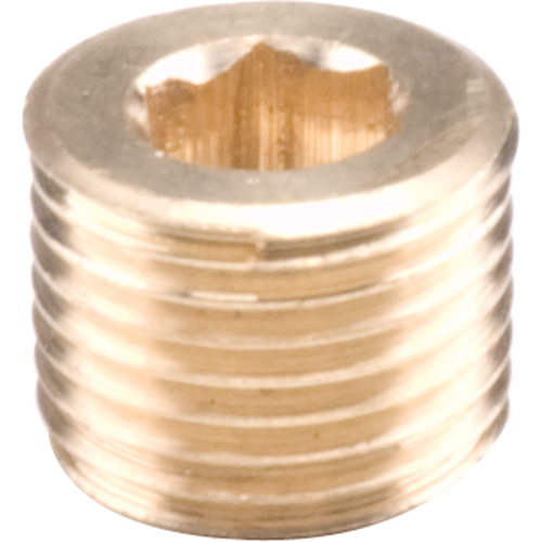 Bouchons de tuyau - Creux hexagonal, 1/8" PB Rental Co. Ltd.