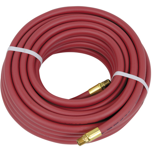 Heavy-Duty Air Hose, Air, PVC, 3/8" dia. x 50', 300 psi, 1/4 NPT PB Rental Co. Ltd.