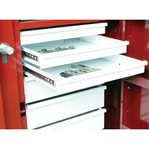 Rolling Work Bench, 49-7/8" W x 40-5/8" H x 26-7/8" D, 24.6 Cubic Feet Capacity PB Rental Co. Ltd.