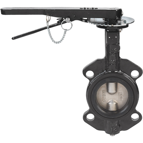 Butterfly Valves - Series BFV, 2" Pipe, 225 PSI PB Rental Co. Ltd.