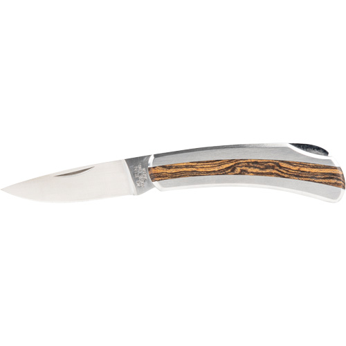 Pocket Knife with Drop Point Blade, 2-1/4" Blade, Stainless Steel Blade, Stainless Steel Handle PB Rental Co. Ltd.