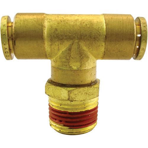 P.T.C. Swivel Male Branch Tees, Brass, 1/8" PB Rental Co. Ltd.