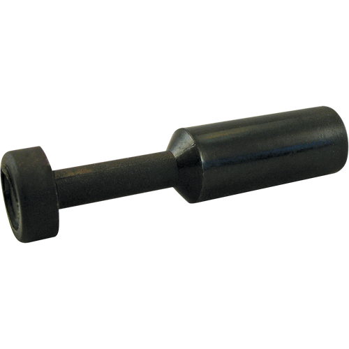 P.t.c. Plug PB Rental Co. Ltd.