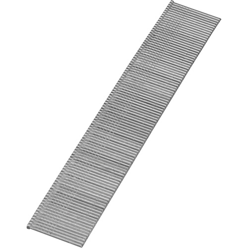 Brad Nails PB Rental Co. Ltd.