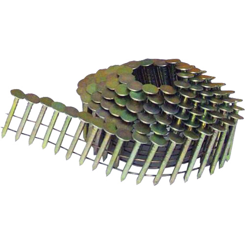 15° Smooth Shank Coil Roofing Nails PB Rental Co. Ltd.