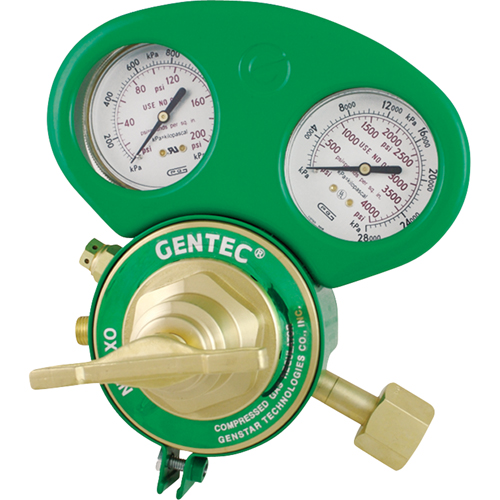 153 Series - Gauge Protectors PB Rental Co. Ltd.