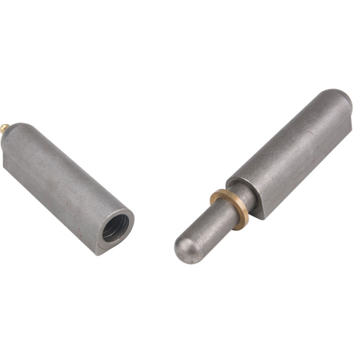 Weld-On Hinge, 0.906" Dia. x 7.874" L, Mild Steel w/Fixed Steel Pin PB Rental Co. Ltd.