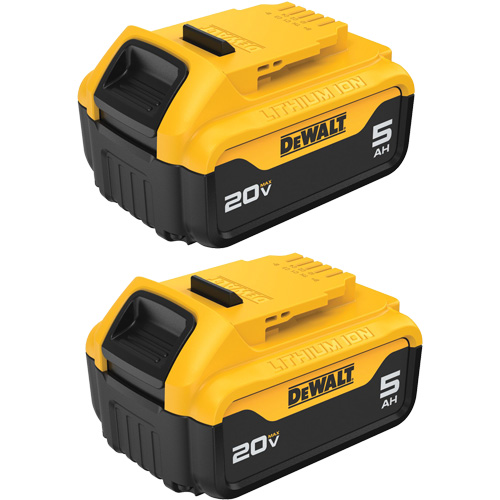 Bloc-piles Max XR Premium, Lithium-ion, 20 V, 5 A PB Rental Co. Ltd.