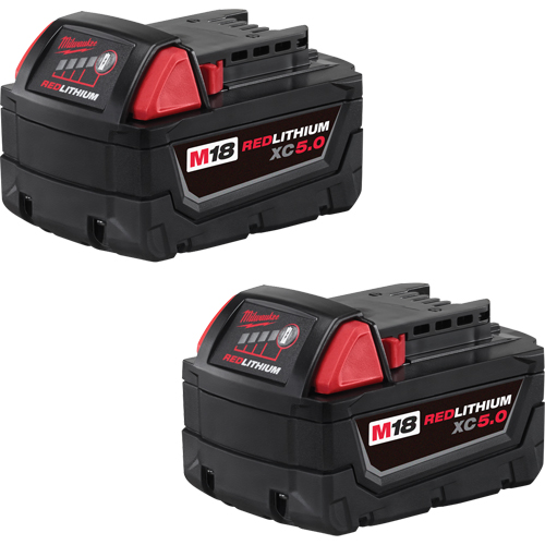 Ensemble de blocs-piles M18 Redlithium, Lithium-ion, 18 V, 5,0 A PB Rental Co. Ltd.