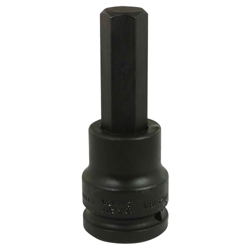 Impact Bit Socket, Hex, 19 mm x 3/4" Drive PB Rental Co. Ltd.