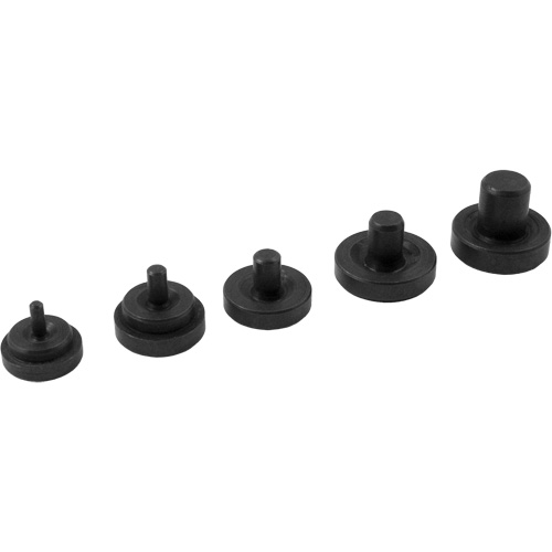 Die PB Rental Co. Ltd.