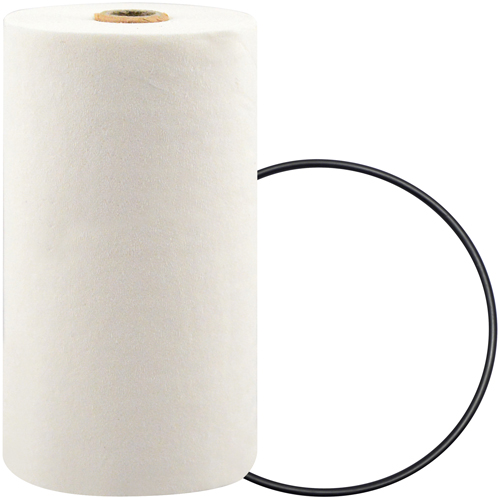 P7247 Spin-On Coolant Filter with BTE Formula PB Rental Co. Ltd.