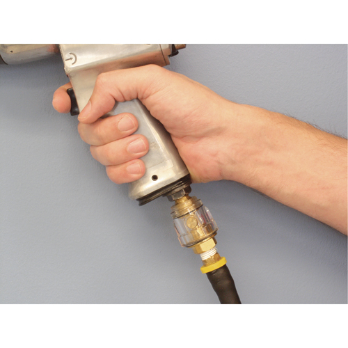 Lubricators - Standard Duty, 1/4" NPT, Max. 120 PSI, In Line PB Rental Co. Ltd.