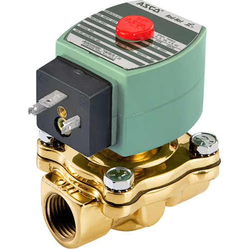 Solenoid Valve, 1/2" Pipe, 150 PSI PB Rental Co. Ltd.