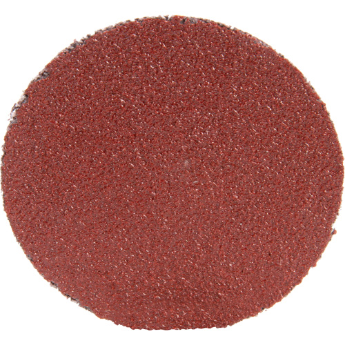 Roloc Disc 361F, 1-1/2" Dia., P100 Grit, Aluminum Oxide PB Rental Co. Ltd.