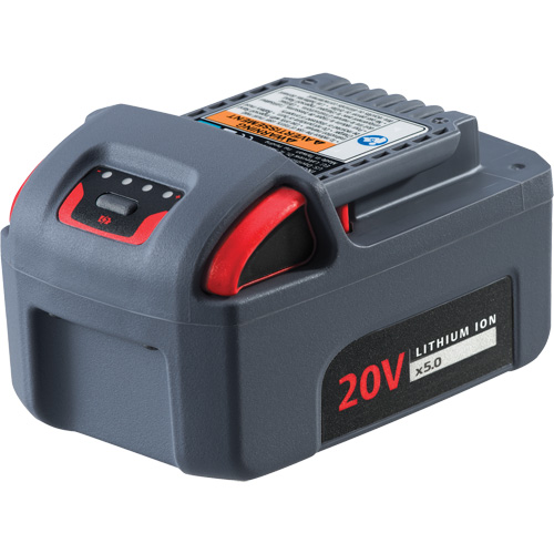 Pile haute capacit&eacute; IQV20, Lithium-ion, 20 V, 5 Ah PB Rental Co. Ltd.