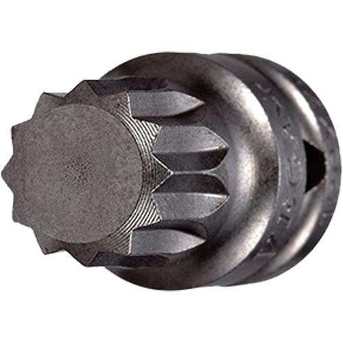 Socket Bit, Triple Square, 5 x 3/4" L, 1/4" Drive PB Rental Co. Ltd.