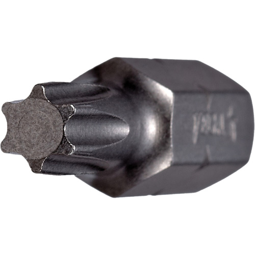 Embout, Torx, 15, Prise 1/4" PB Rental Co. Ltd.
