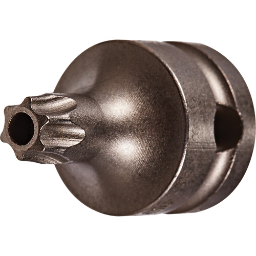 Socket Bit, Torx&reg; Tamper, 25 x 1" L, 3/8" Drive PB Rental Co. Ltd.