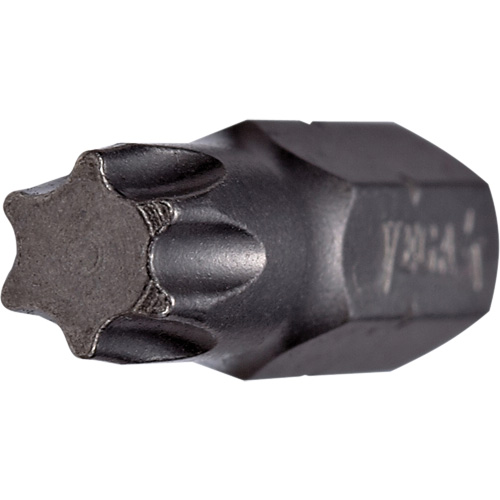 Tamper Insert Bit PB Rental Co. Ltd.