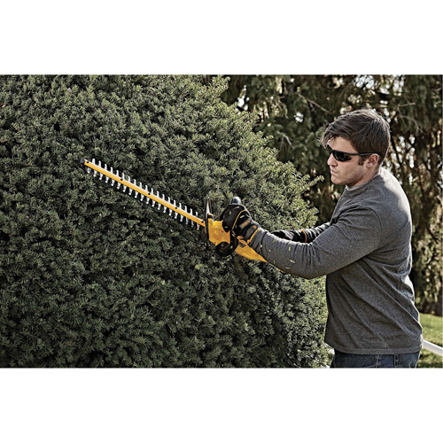 Max Cordless Hedge Trimmer, 22", 20 V, Battery Powered PB Rental Co. Ltd.