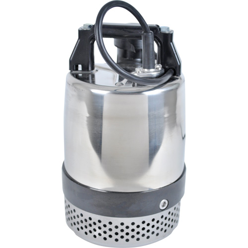 Pompe utilitaire s&eacute;rie FLS/FS, 1 CV, 80 gal./min, 115 V, 10 A PB Rental Co. Ltd.