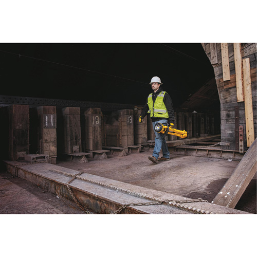 20V Max Cordless Tripod Light, LED, 3000 Lumens, Plastic Housing PB Rental Co. Ltd.