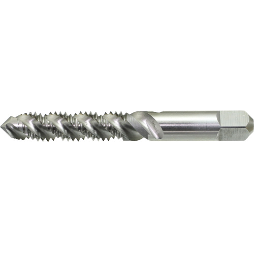 DRILLCO Spiral Flute Hand Tap, High Speed Steel, 1/4"-20 Thread PB Rental Co. Ltd.