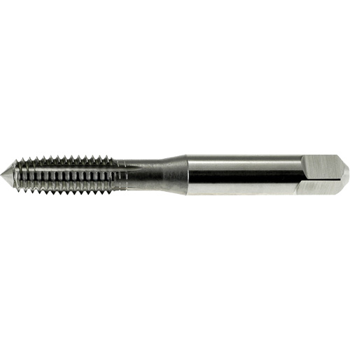 DRILLCO Thread Forming Tap, High Speed Steel, 0-80 Thread PB Rental Co. Ltd.