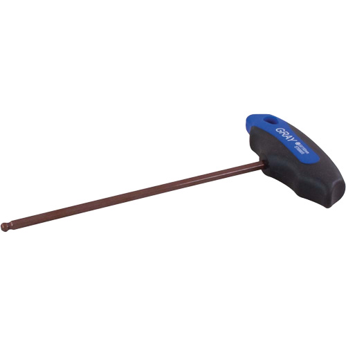 Metric Hex Key, Ball End, 10 mm x T Handle PB Rental Co. Ltd.